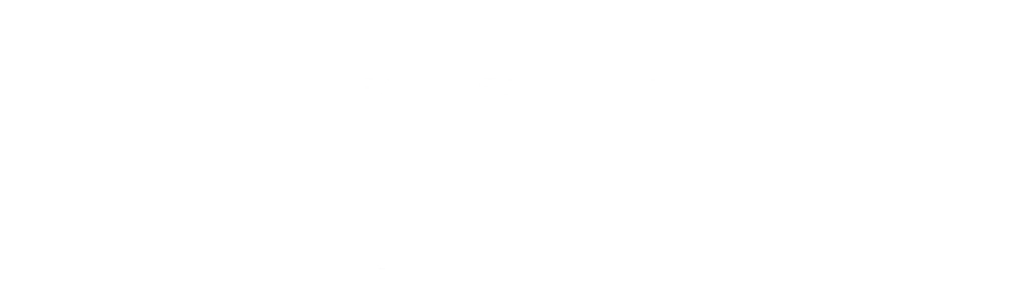 نسیم نمرودی